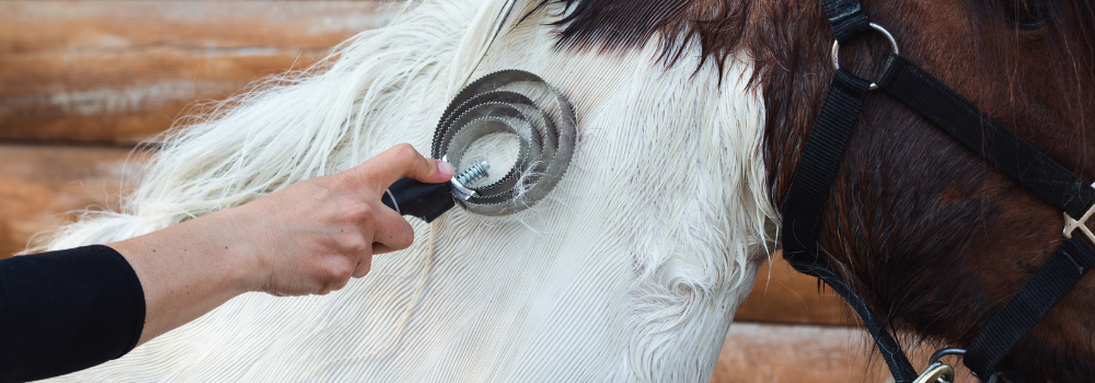 Preparing for Shedding Season